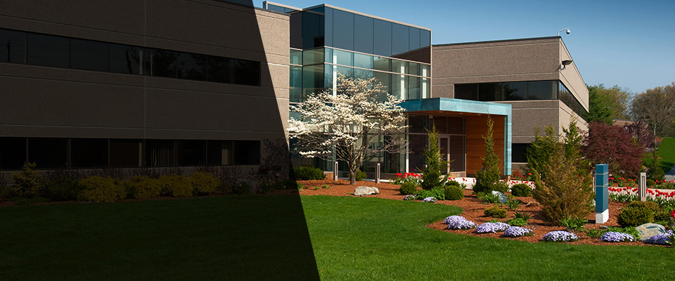 Nederland Landscapers