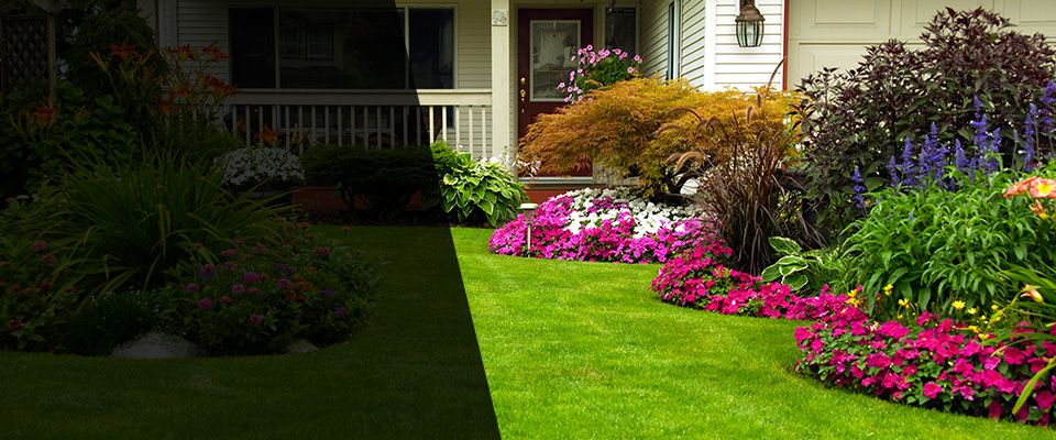 Nederland Landscapers