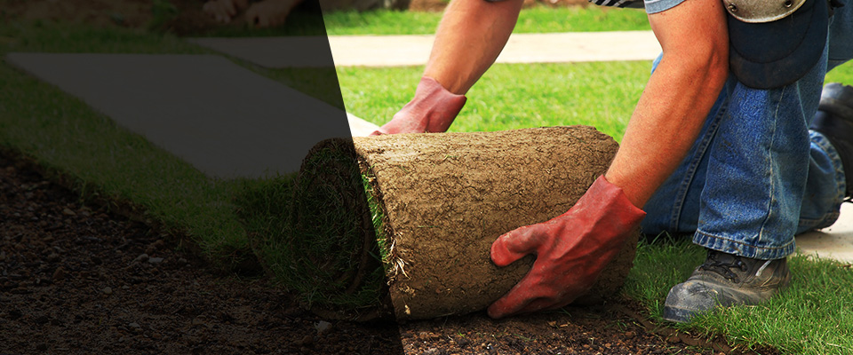 Nederland Landscapers